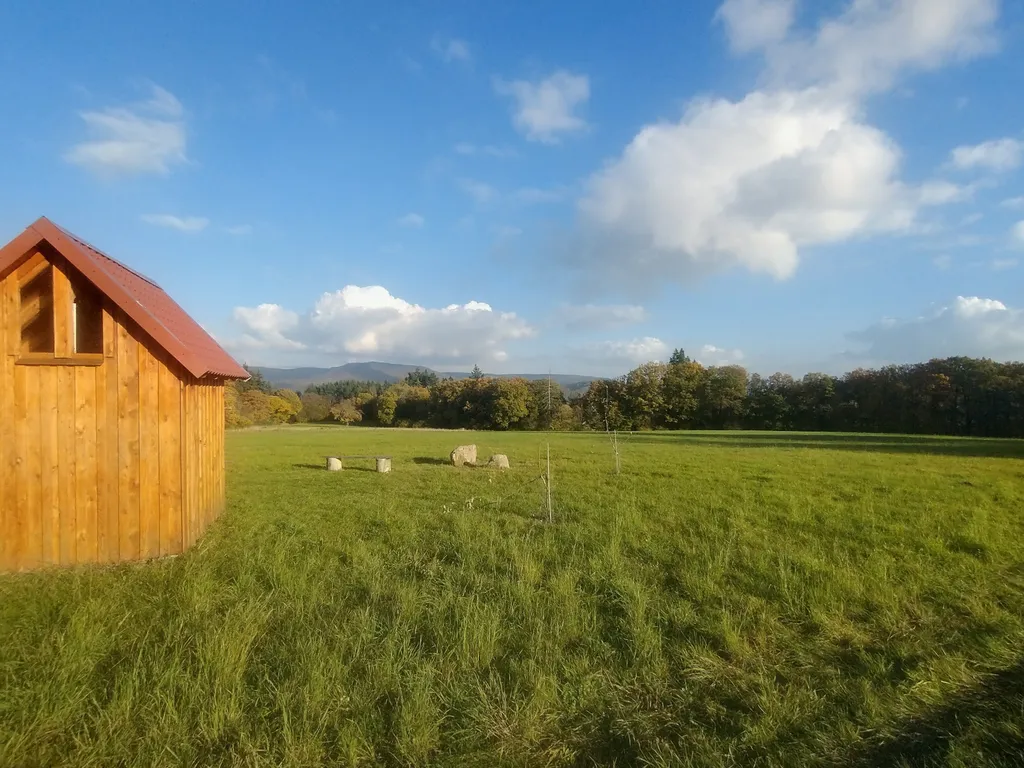 Verwilderter Obstgarten im Frau-Holle-Land