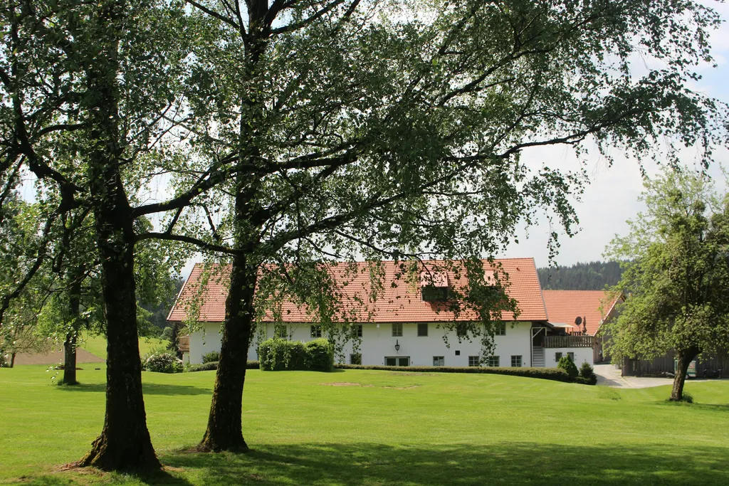 Hirschpark Camp Bayerischer Wald