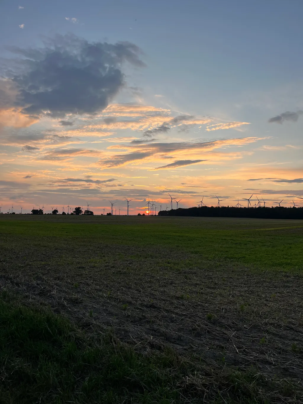 Bild von Matthias für den Spot 2051