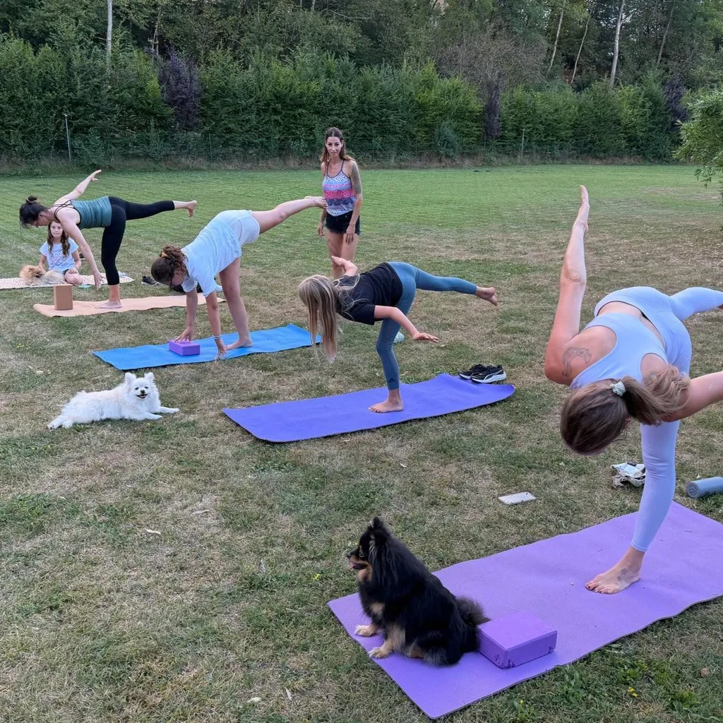 Zwergspitz-Yoga 🐾
