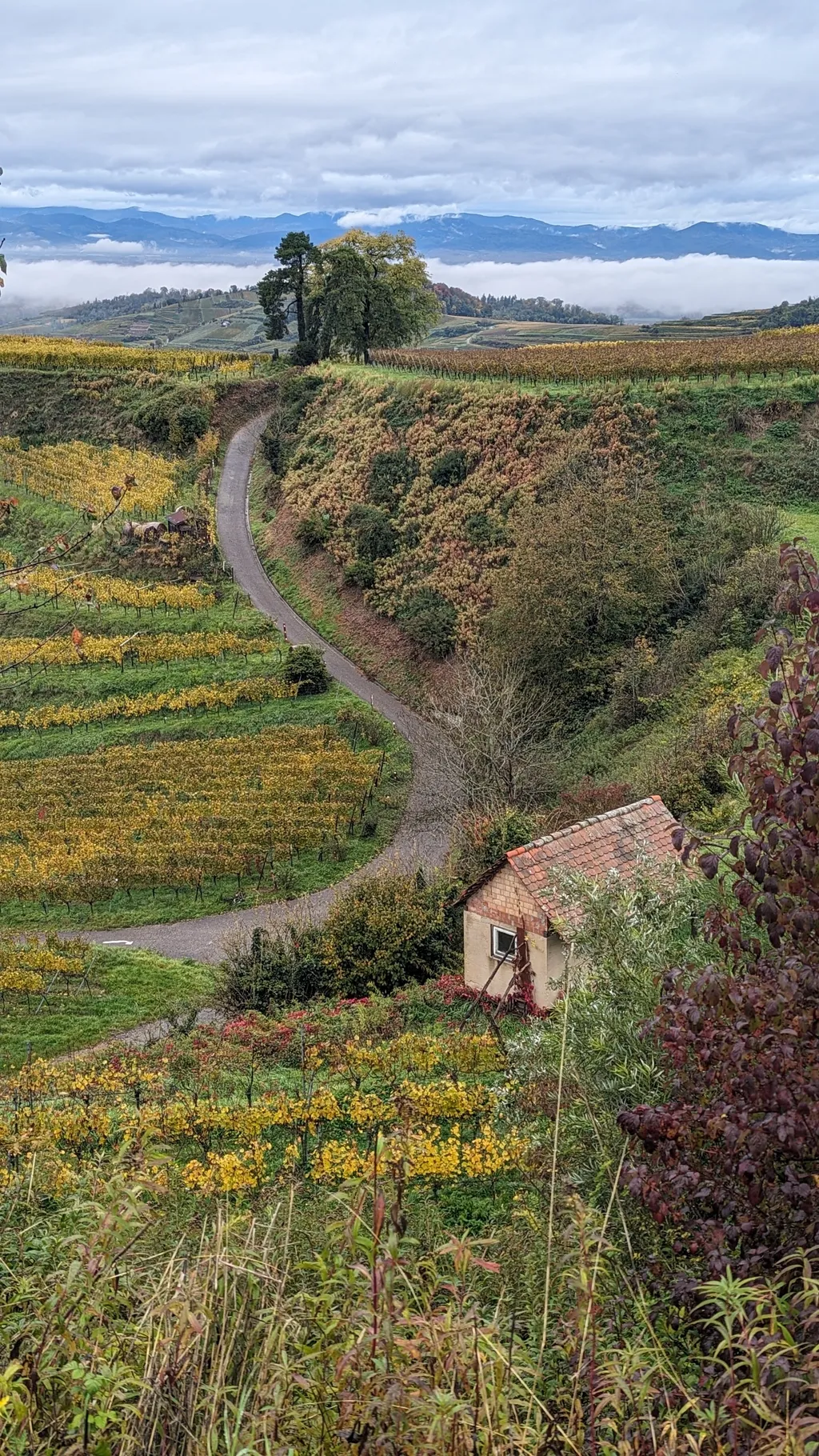 Bild von Sabine für den Spot 1693