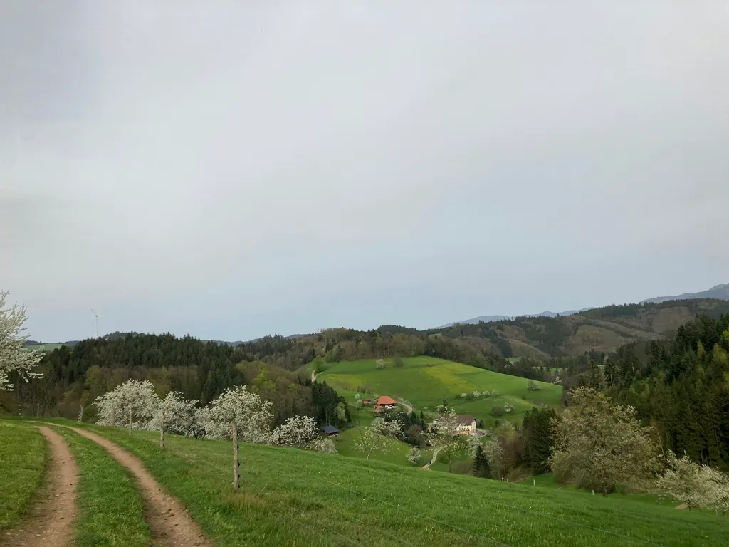 Naturbaden-Stellplatz Hohe Tannen