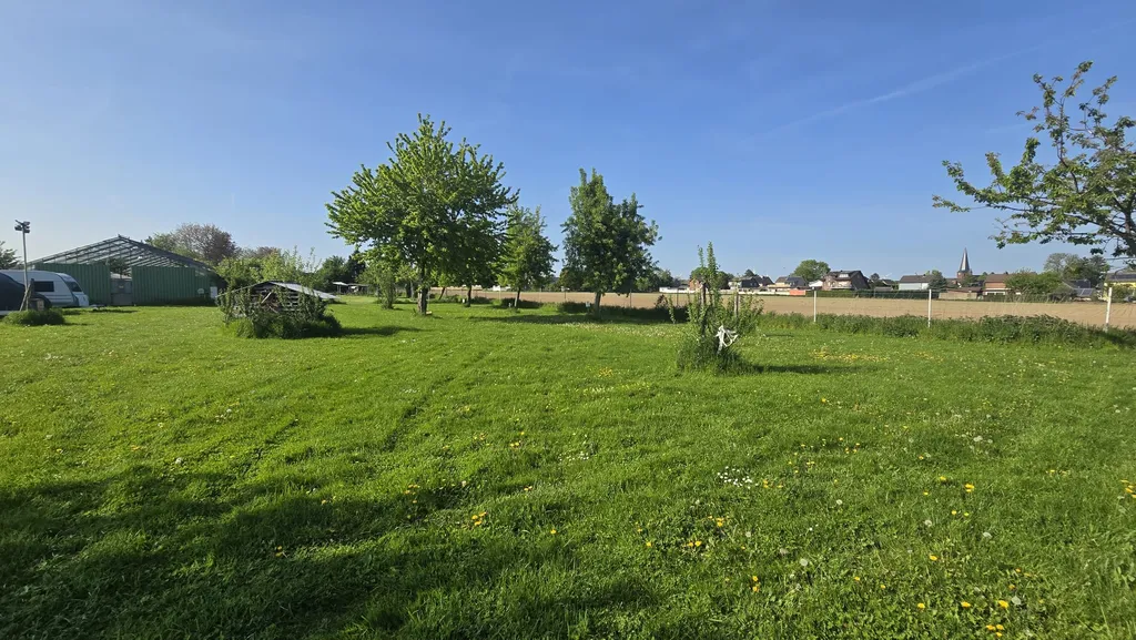 Die Streuobstwiese