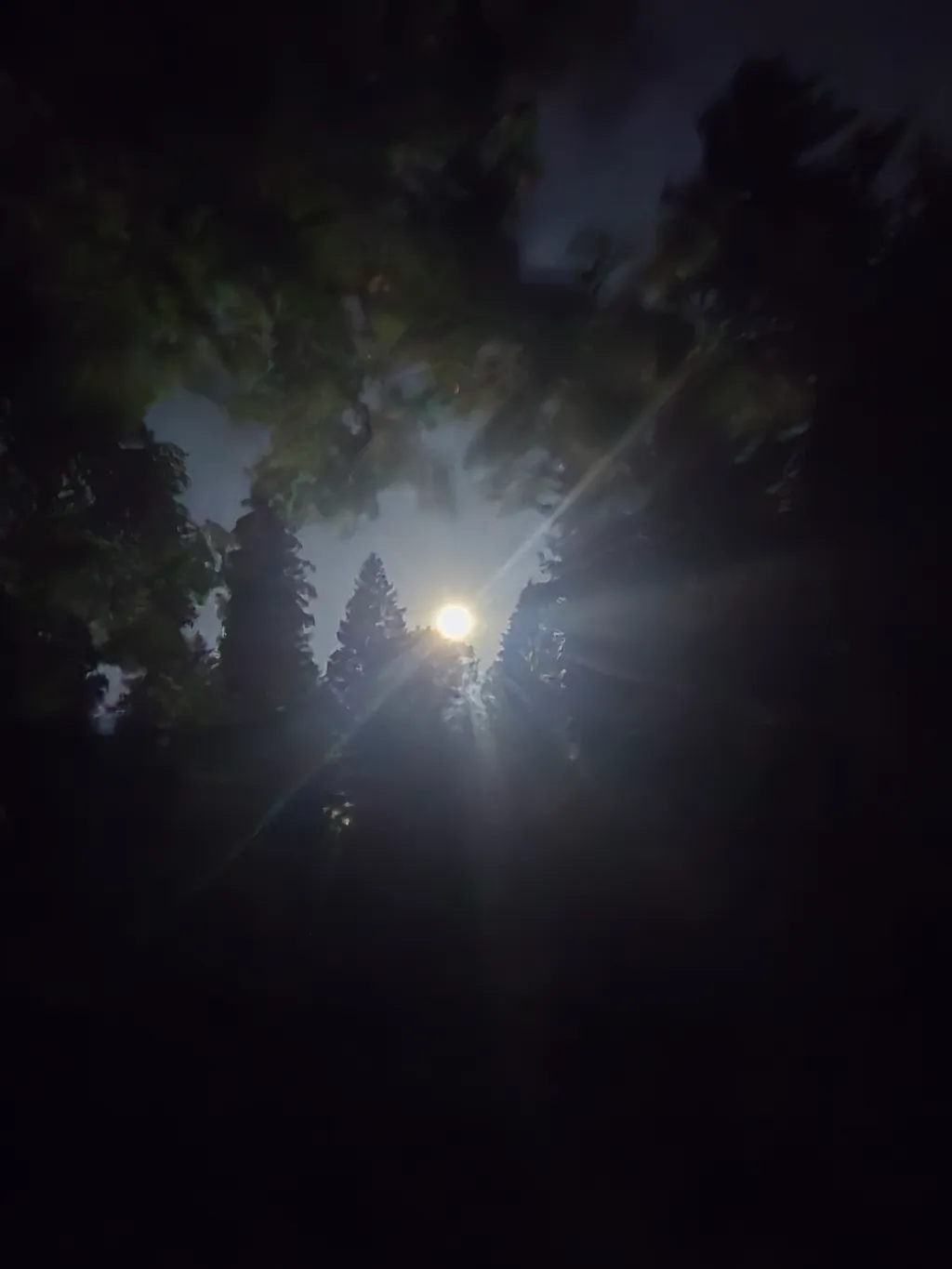 Bild von Ernst für den Spot 587