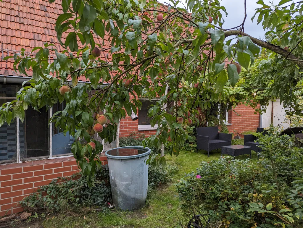 Bild von Stephanie für den Spot 2062