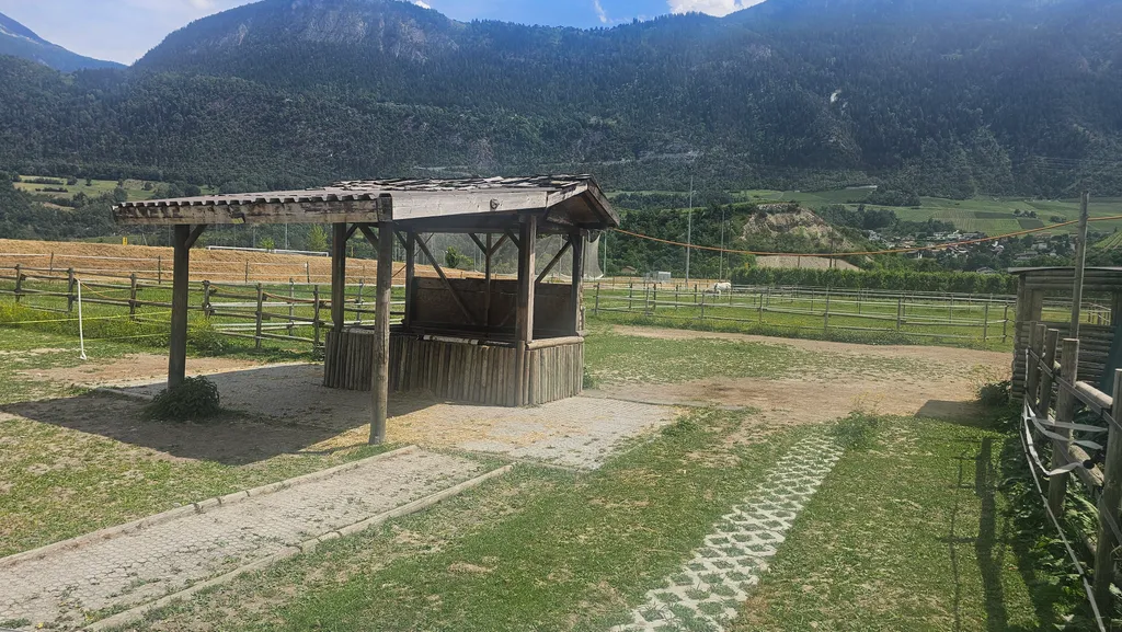 Vue sur les Alpes & chevaux