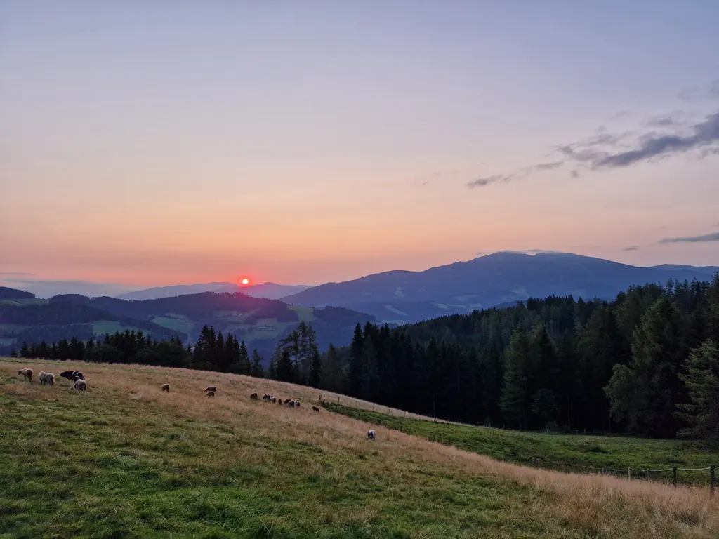 Bild von Diana für den Spot 2922