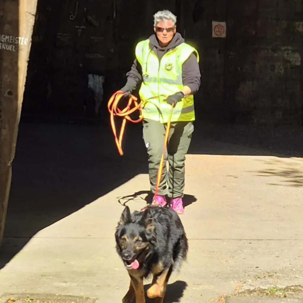 Profilbild von Karina