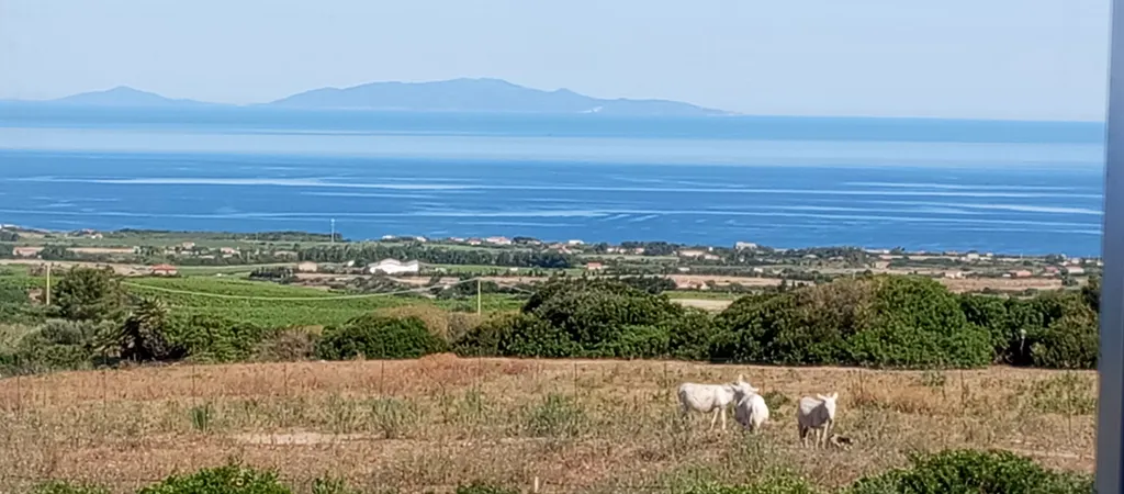 Panorama dall' Oasi di Cinzia