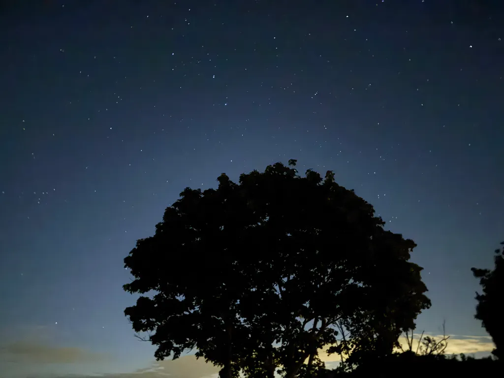 Bild von Claudia für den Spot 4297