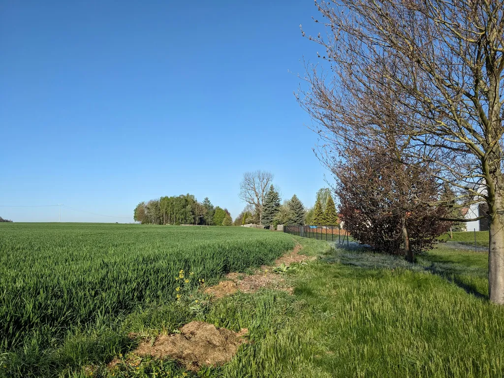 Ruhiger Naturgarten am Feldrand