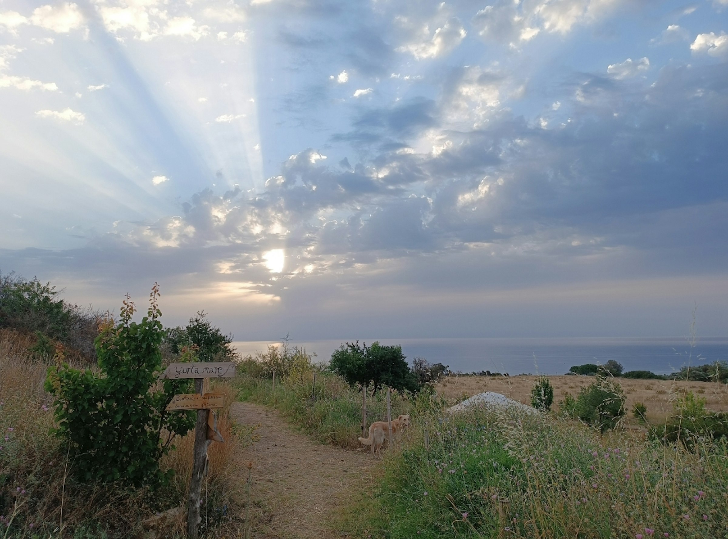 Campo con vista su mare