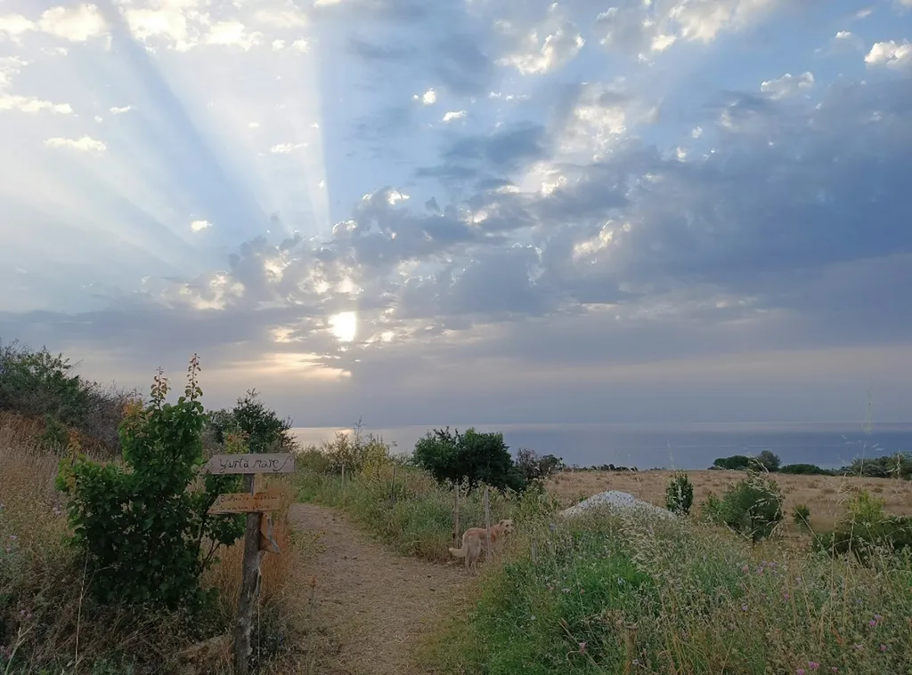 Campo con vista su mare