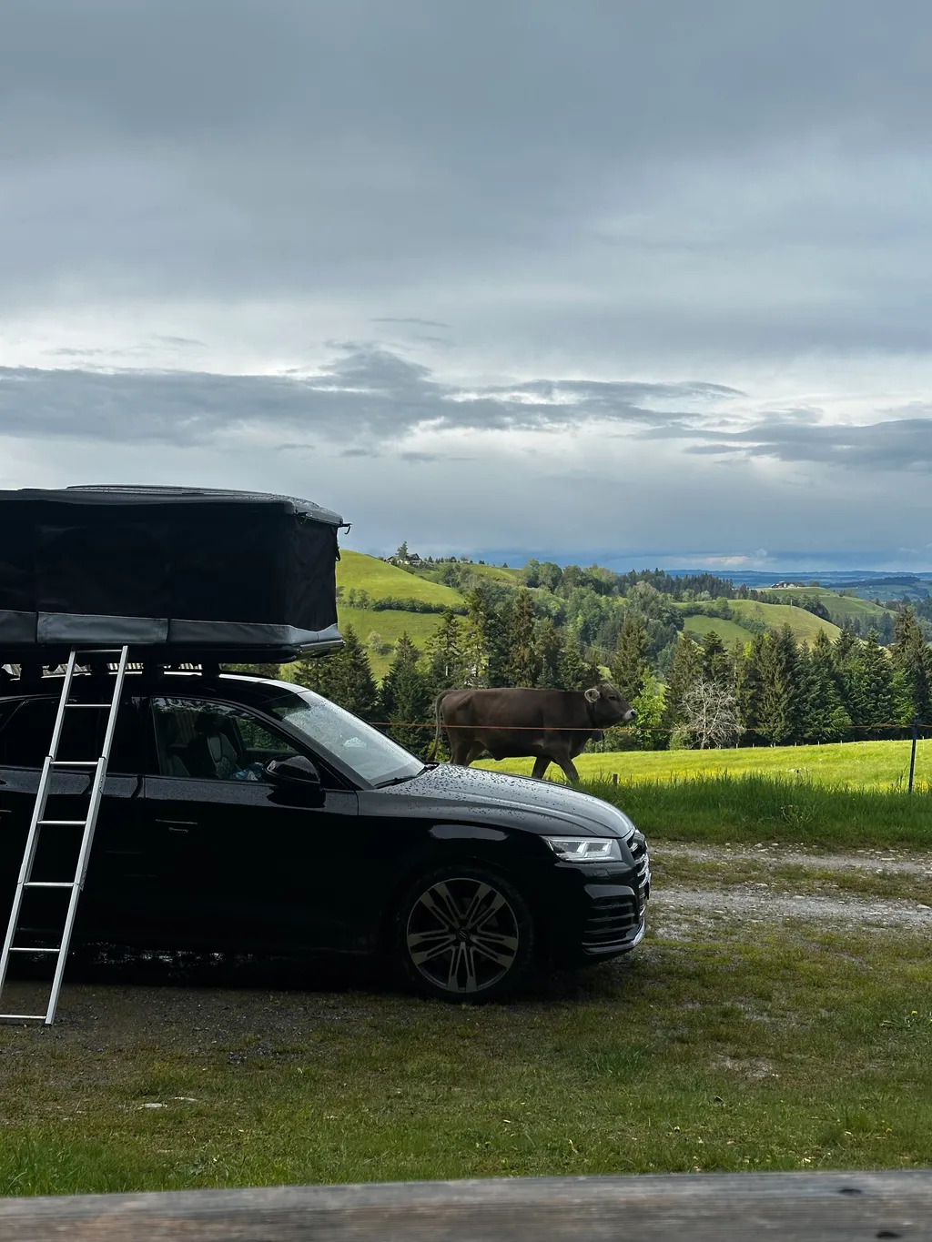 Bild von tamara für den Spot 406