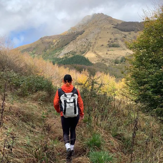 Profilbild von Anita