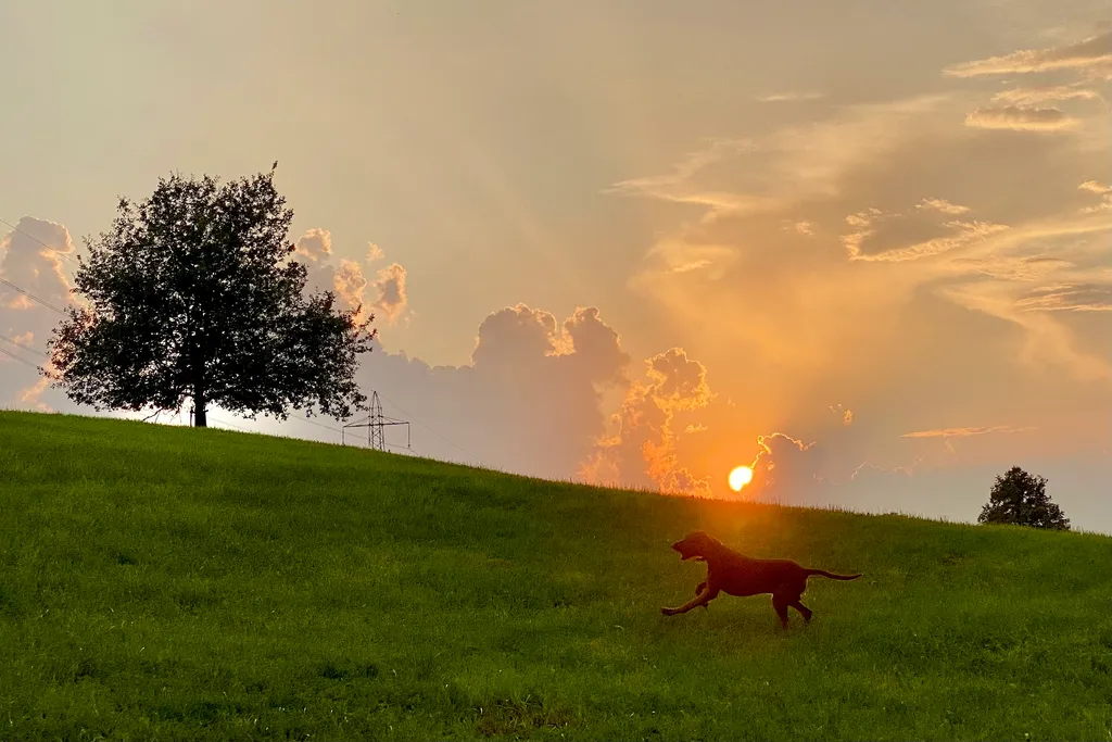 Bild von Piera für den Spot 207