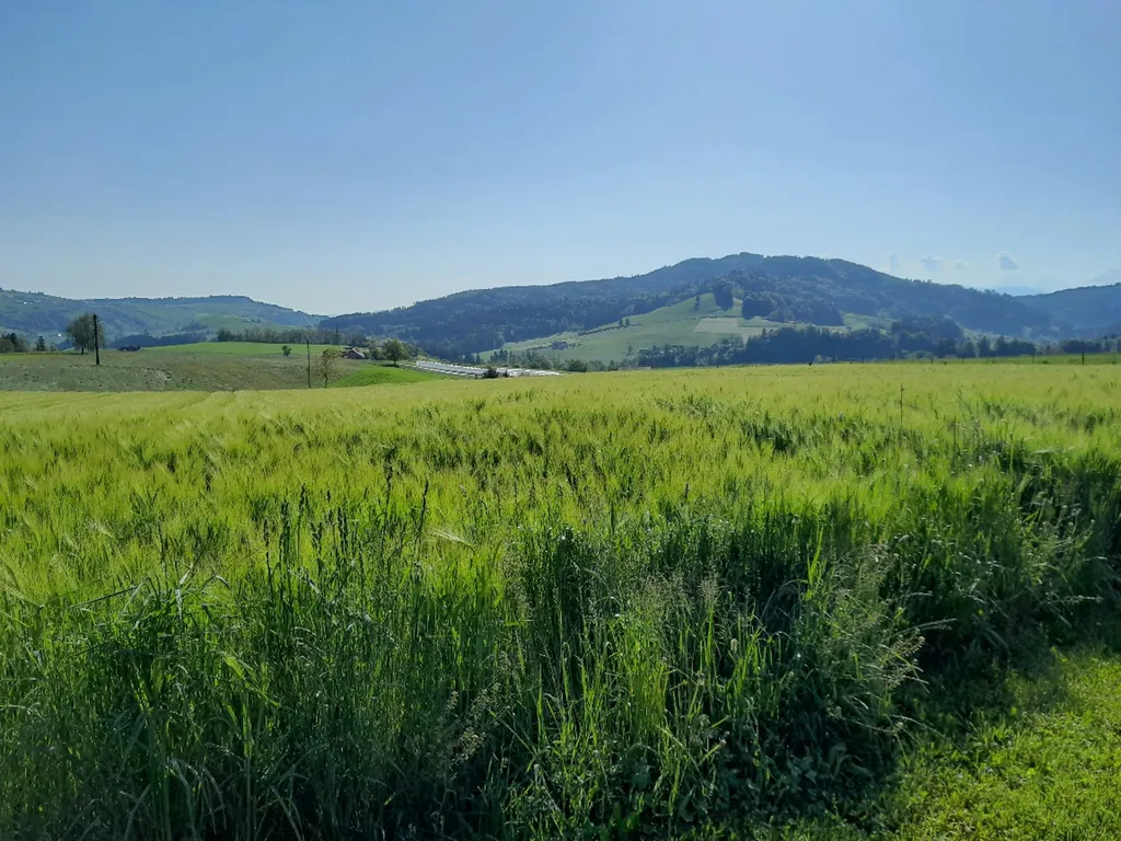 Gantrisch Camp (ein Platz für dich alleine)