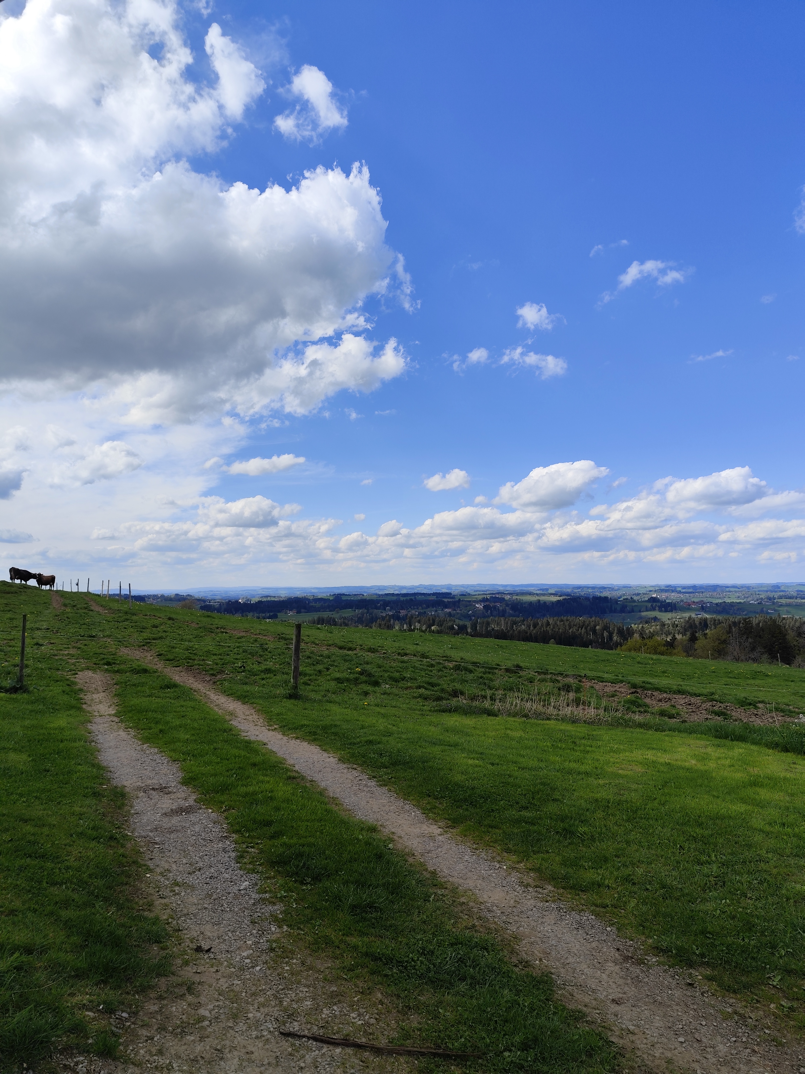 Ruhe, Natur und toller Ausblick — photo 4