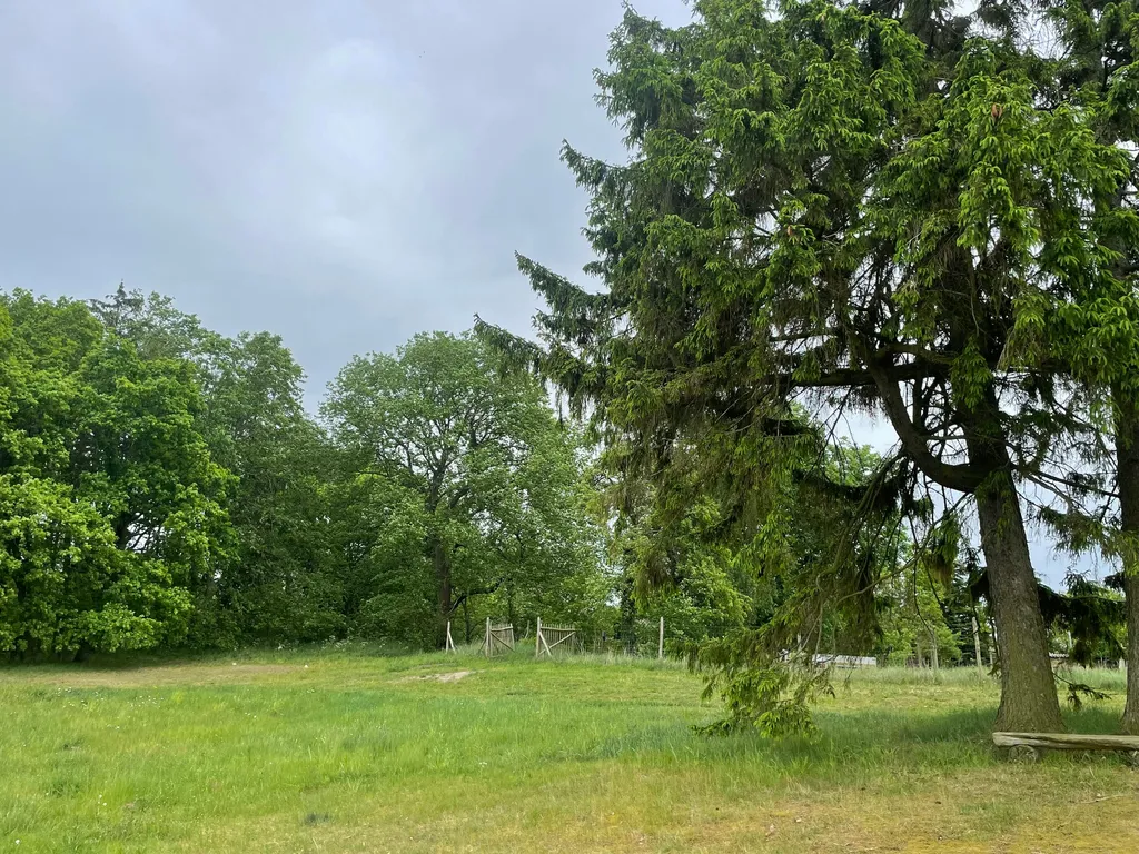 Unter Fichten am Dorfrand mit Blick zum Wald