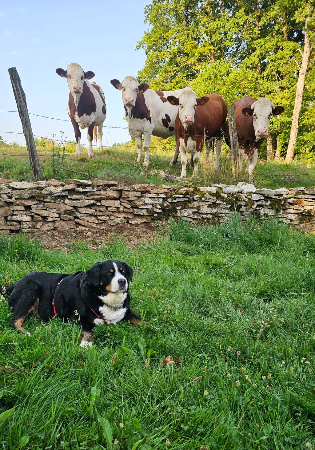 Bild von Verena für den Spot 103