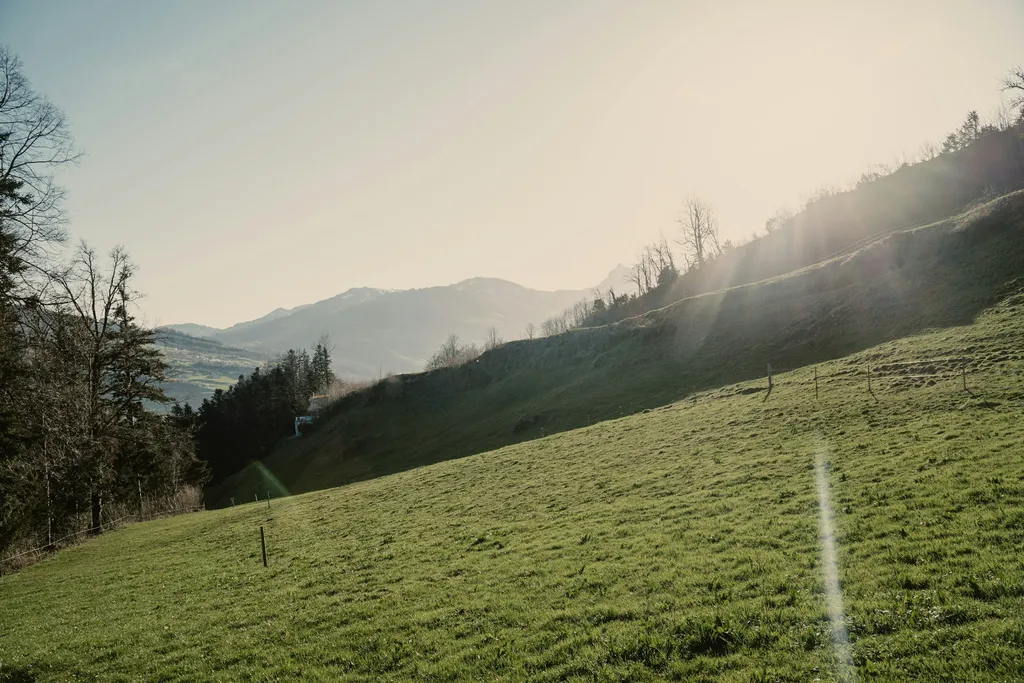 Aussicht vom Stellplatz!