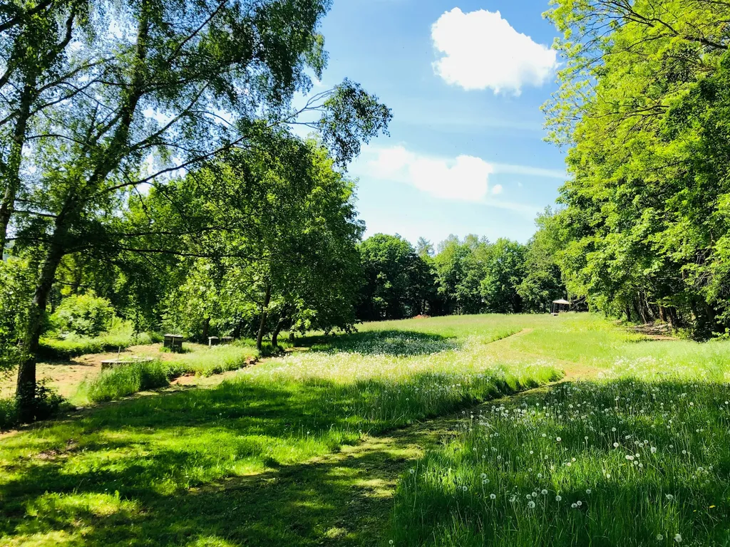 Alleinlage mit Bienengesumme