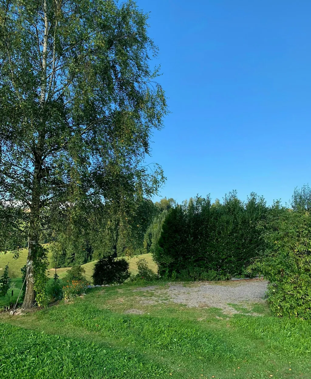 Tröimli Rüegsbach - Rotmilan