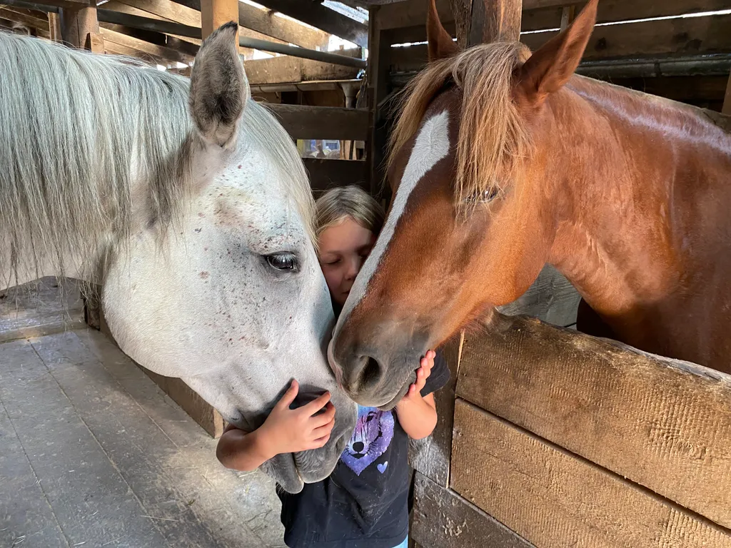 Bild von Sonja für den Spot 3647