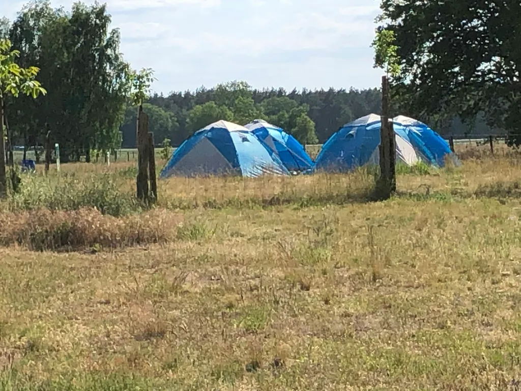 Ökowiese mit Feuerstelle