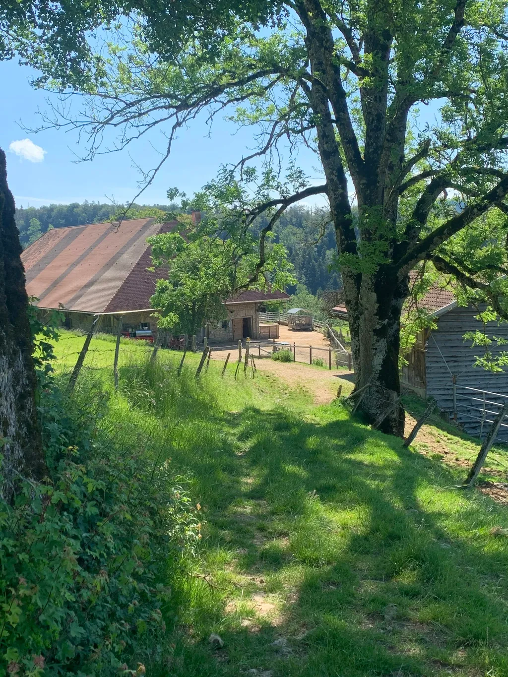 Agriculture Outremont