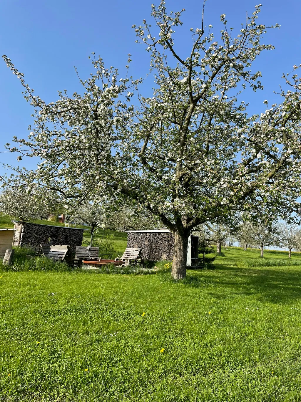 Familyfarm Camping