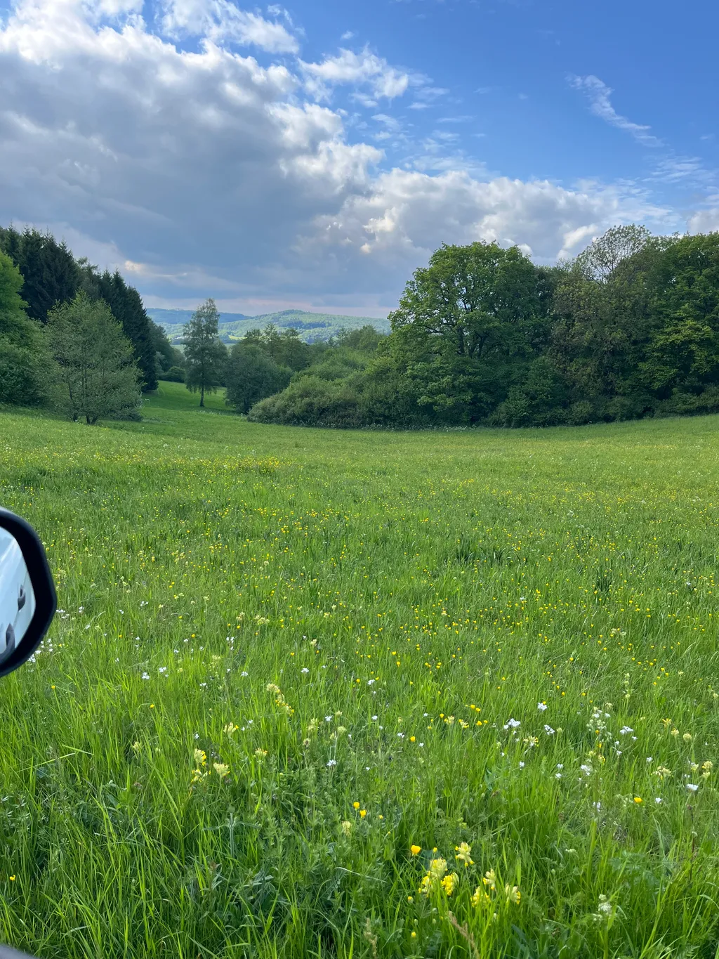 Naturstellplatz mitten im Grünen