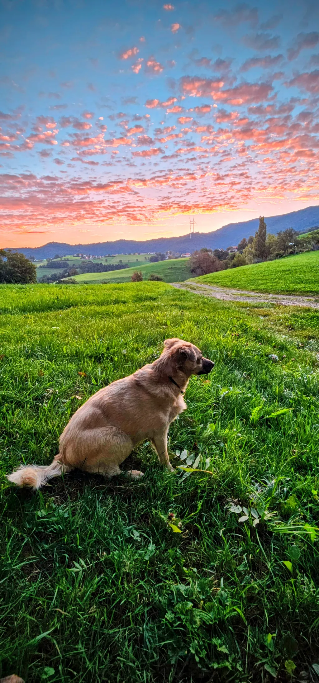 Bild von Claudia für den Spot 1550
