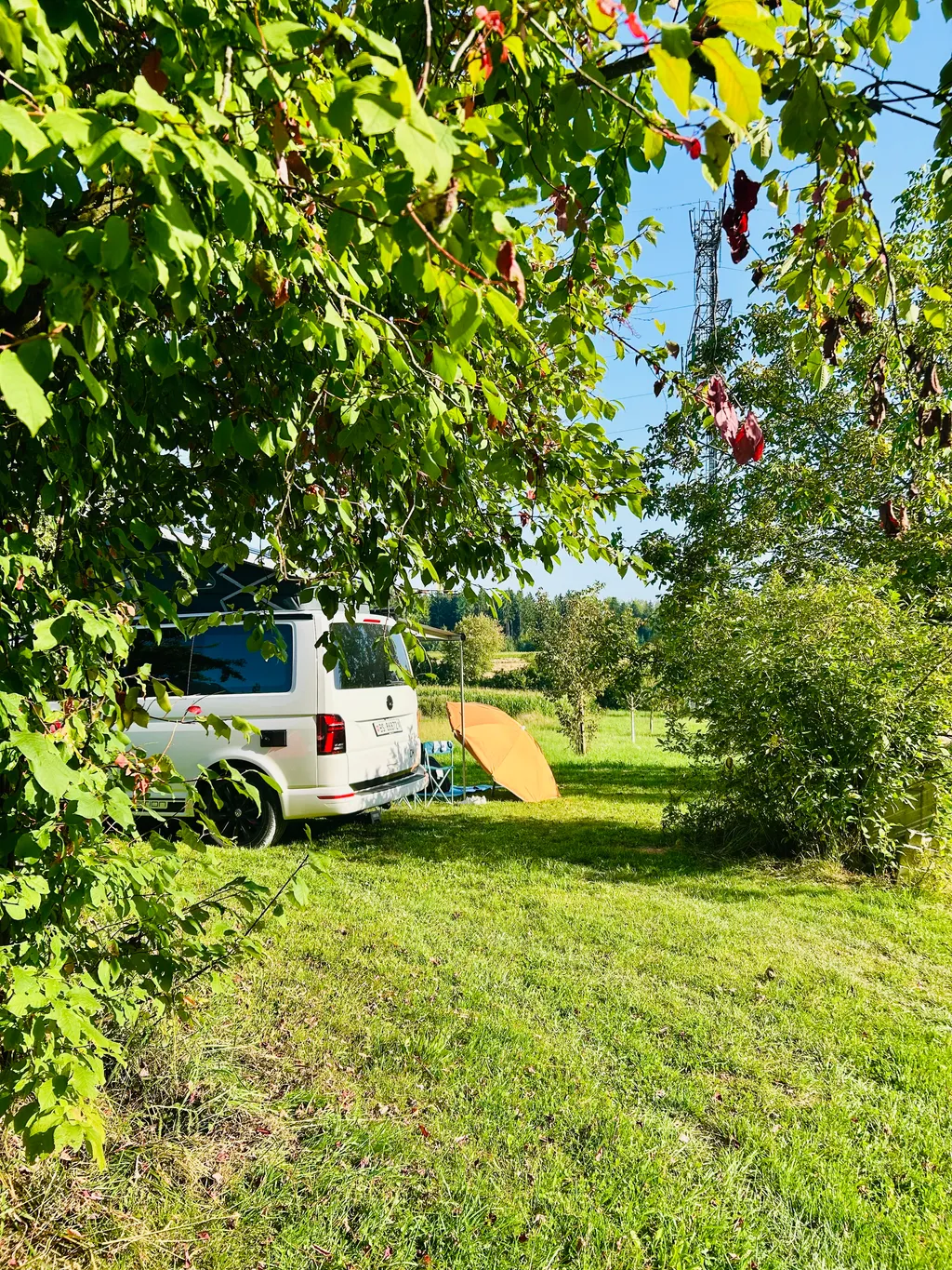 Bild von Sebastian für den Spot 736