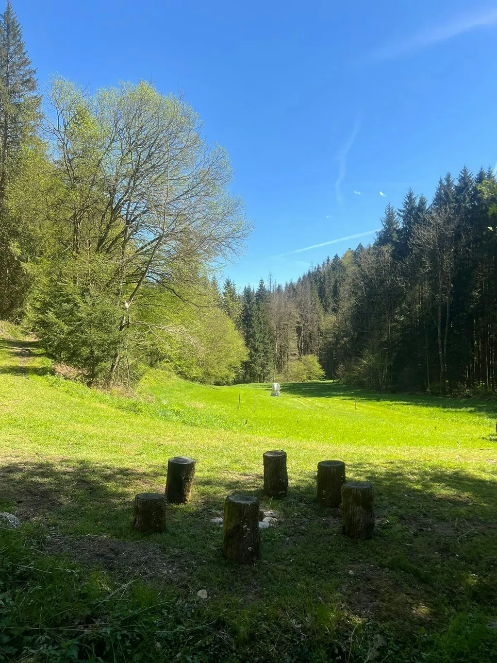 One-Night-Camp Schildbach