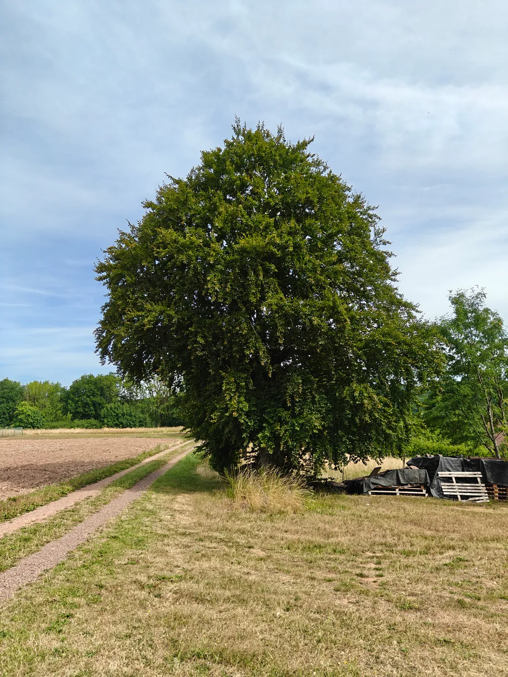 Bild von Ines für den Spot 1706