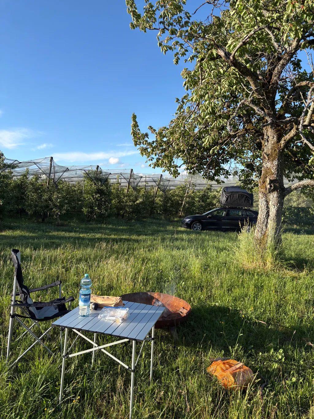 Bild von Steffi für den Spot 1621