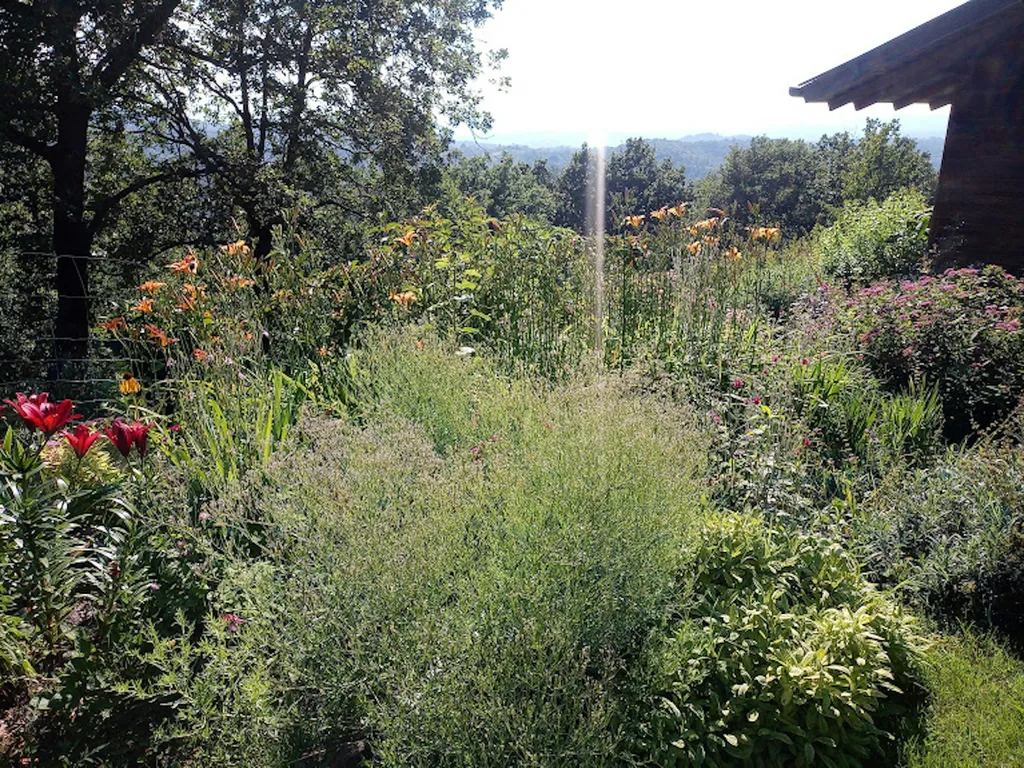 Einfacher Wohnwagen am Gemüsegarten