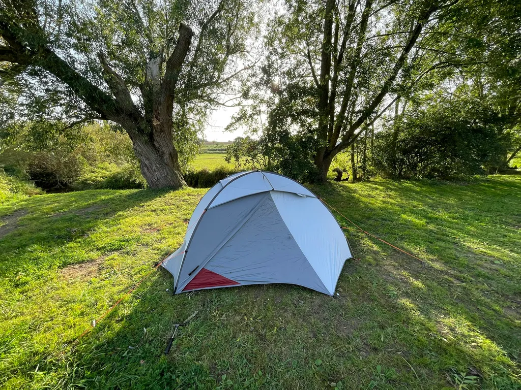 Schöne Wiese an zwei kleinen Bächen