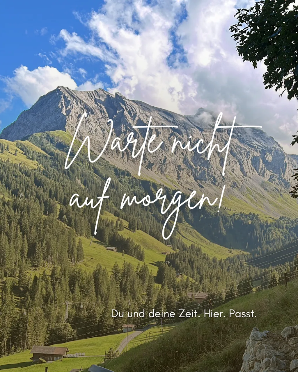 Wiidhüsi bim Ahore