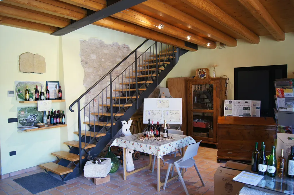 Villa Maffei Costalunga - Vigneto