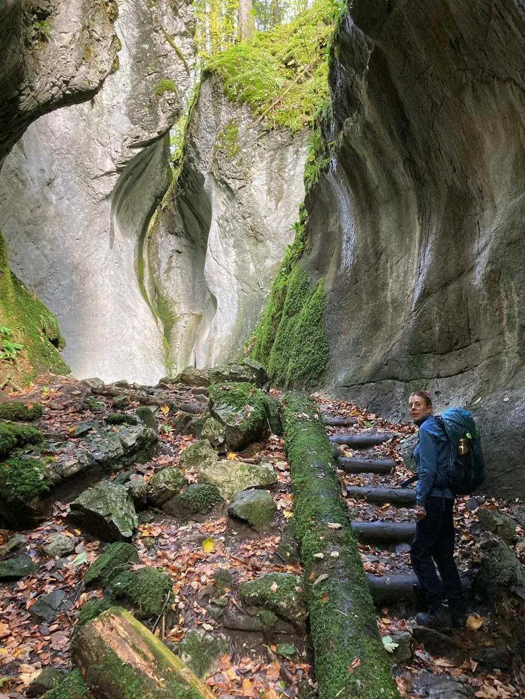 Profilbild von Sandra