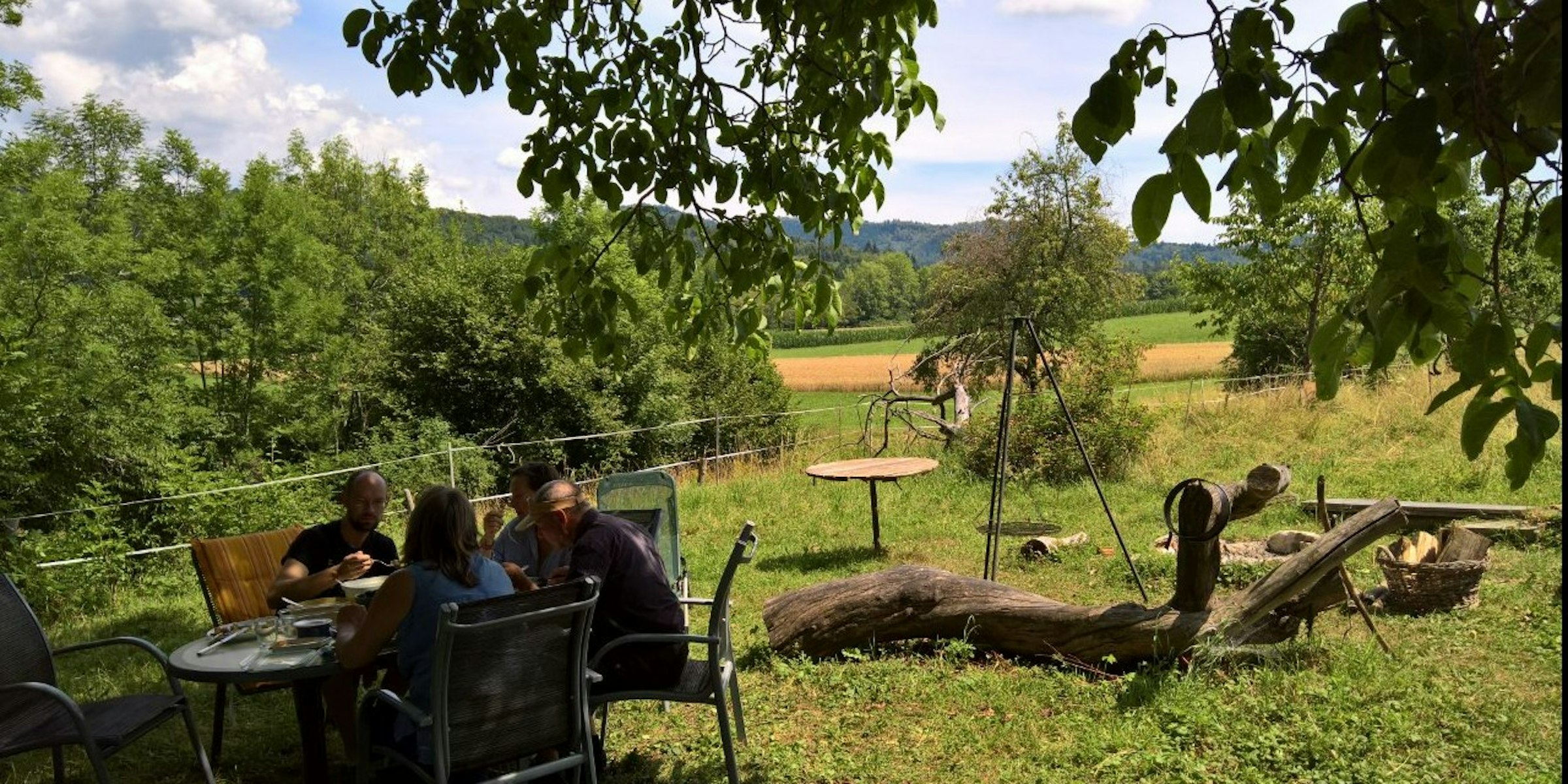 Möhrenblick — photo 4