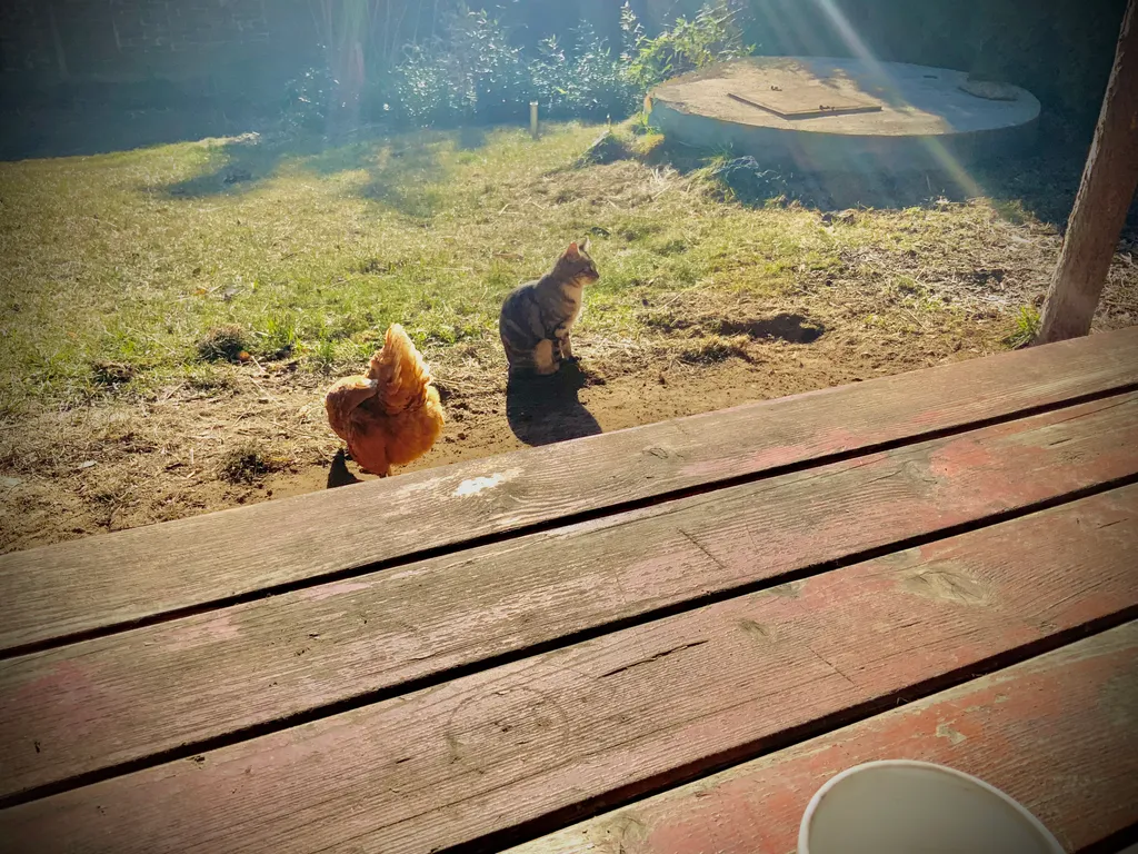 Der Boss des Hauses und ein Untertan
