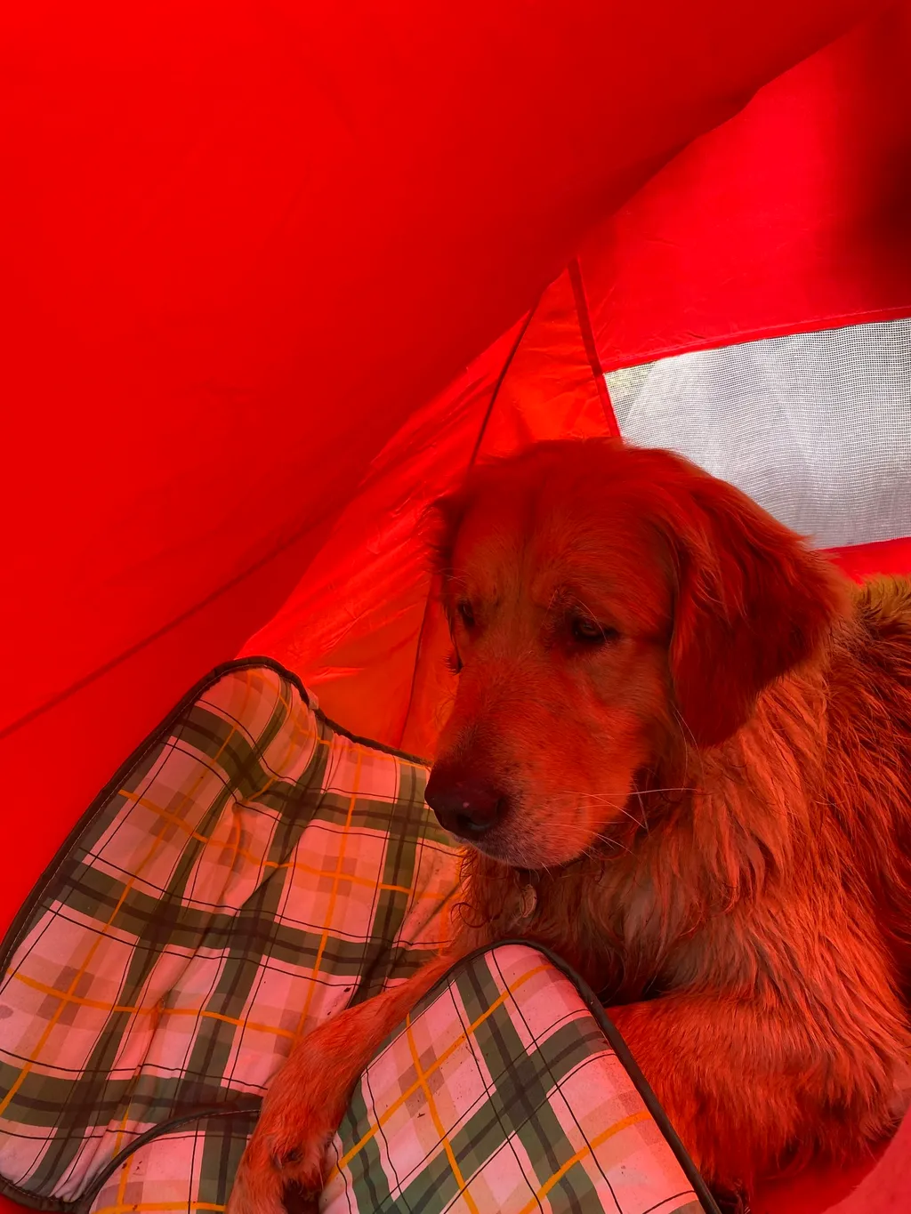 Camping im Waldviertler Hochland