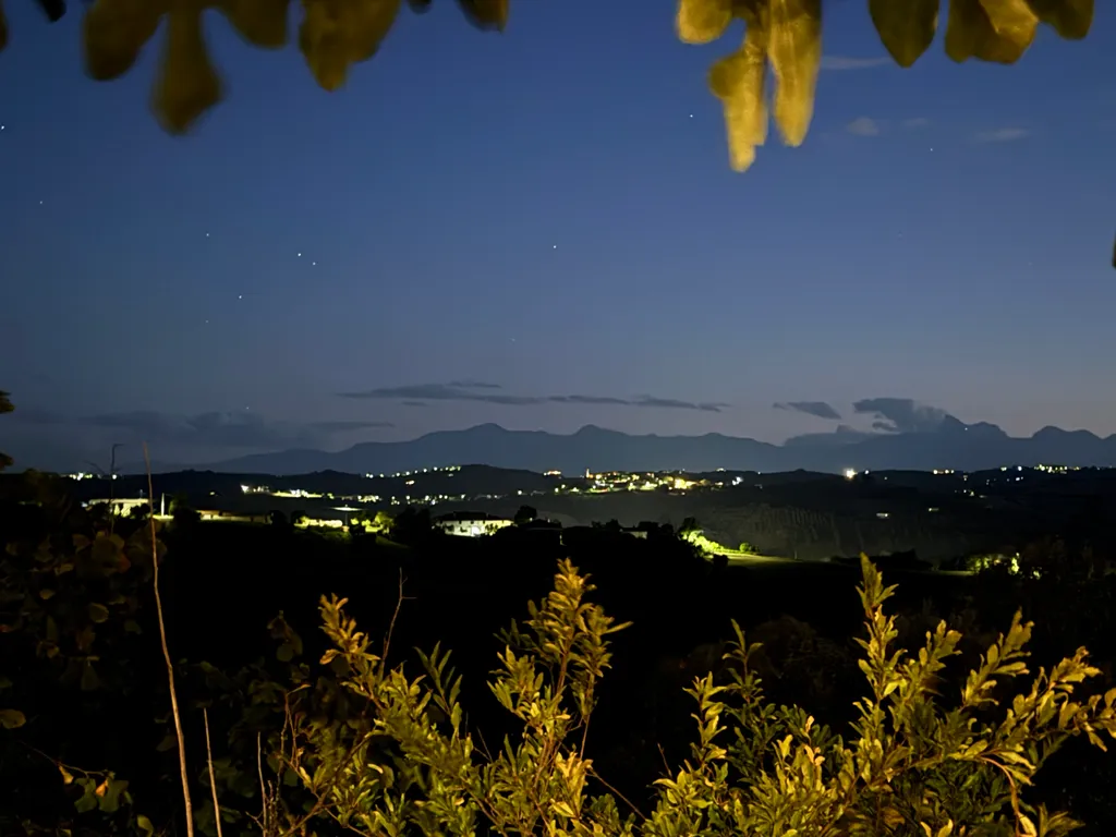 Image by Georg for spot 651