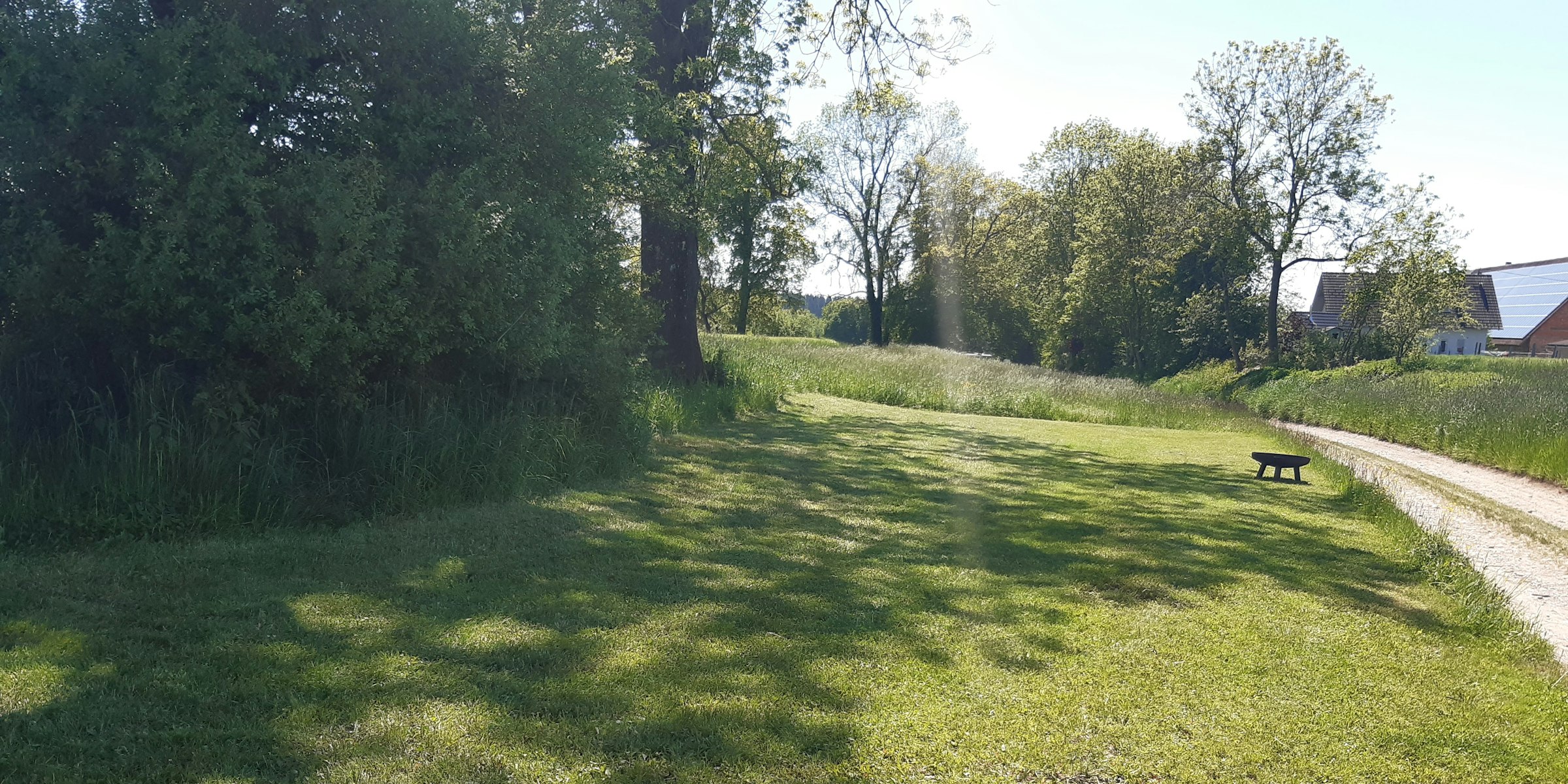 Unter den alten Eschen