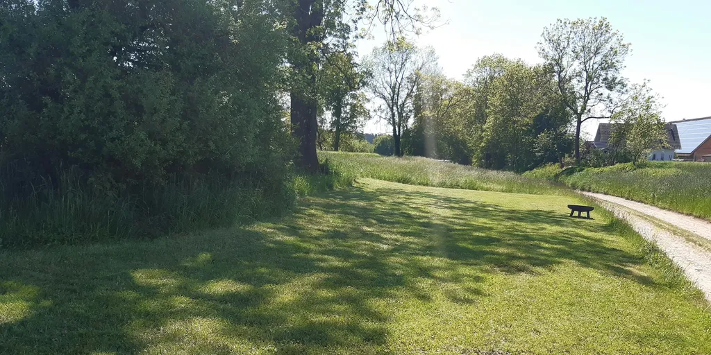 Unter den alten Eschen