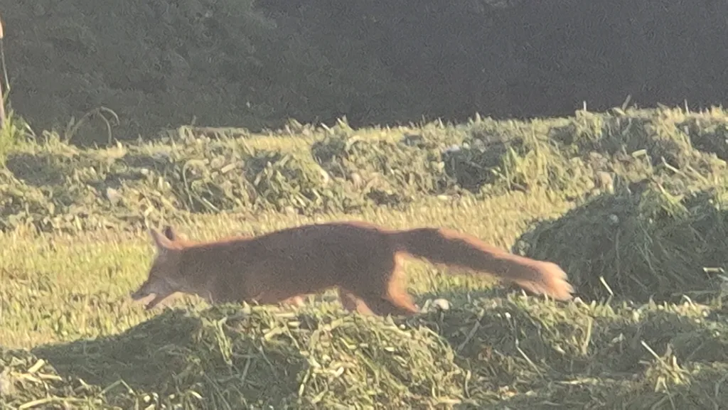Bild von René für den Spot 282