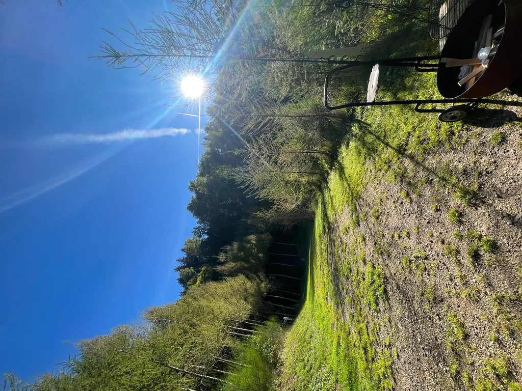 Bild von Sascha für den Spot 1557